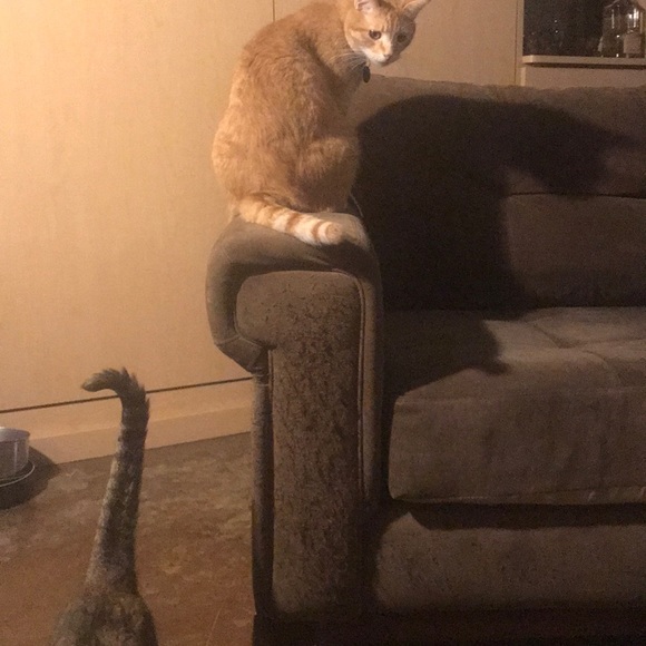 Couch - Picture 3 of 3